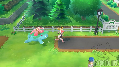 Pok�mon acompa�antes