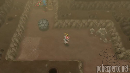 Pok�mon acompa�antes