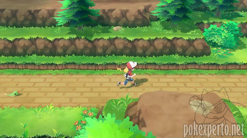 Pok�mon acompa�antes