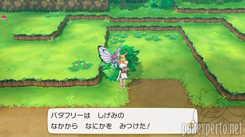 Pok�mon acompa�antes