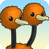 Doduo